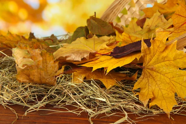 Gyönyörű őszi levelek széna, fonott kosár, a táblázat a világos háttér — Stock Fotó