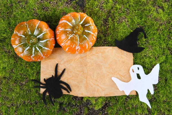 Old paper with Halloween decorations on green moss background — Stock Photo, Image