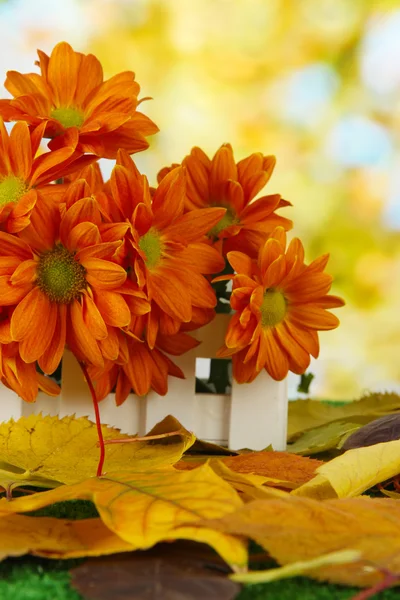 Beautiful autumn leaves with flowers in wooden stand on grass on bright background — Stock Photo, Image