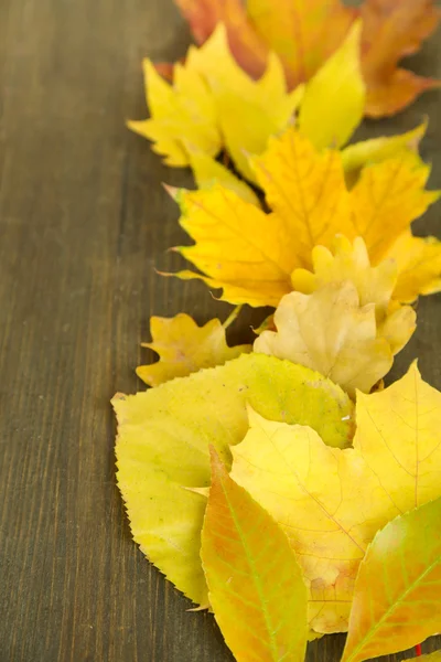 Ljusa hösten blad på träbord — Stockfoto