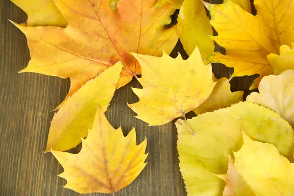 Ljusa hösten blad på träbord — Stockfoto
