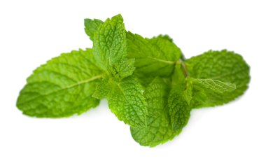 Beyazda izole edilmiş nane