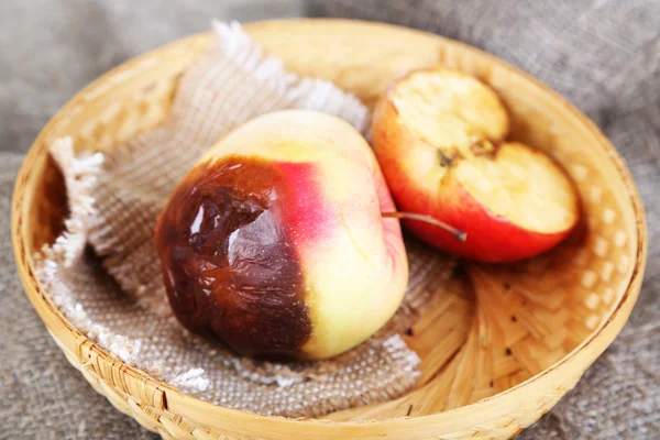 Гнилые яблоки в корзине на мешковине — стоковое фото