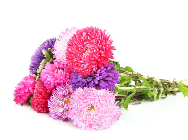 Яркие пасхальные цветы, изолированные на белом
