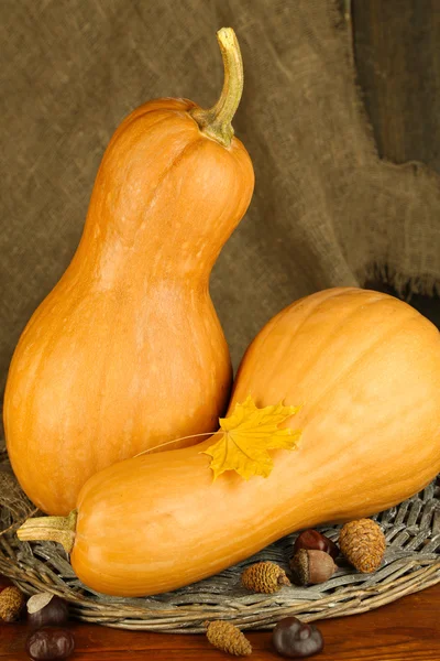 Autumn composition with pumpkin — Stock Photo, Image