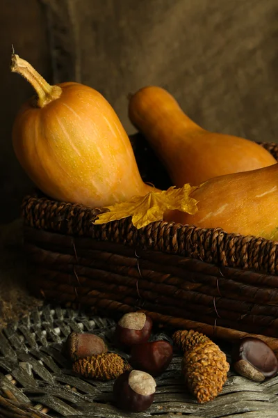 Herbstliche Komposition mit Kürbis — Stockfoto