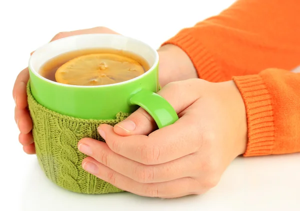 Cup with knitted thing on it in female hands isolated on white — Stock Photo, Image