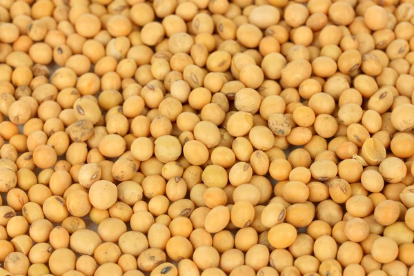 Soy beans close-up — Stock Photo, Image