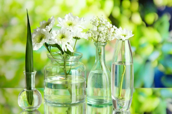 Plantas en varios recipientes de vidrio sobre fondo natural — Foto de Stock