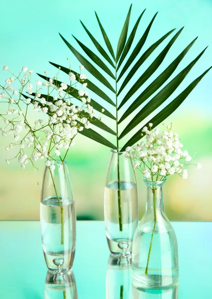 Plantas em vários recipientes de vidro em fundo natural — Fotografia de Stock