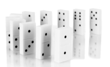 beyaz izole Domino