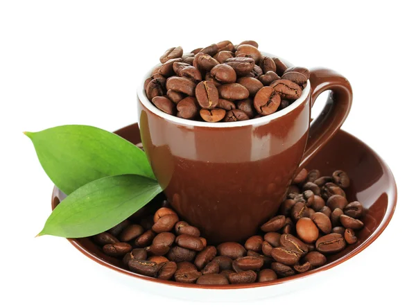 Kahve çekirdekleri üzerine beyaz izole Kupası — Stok fotoğraf