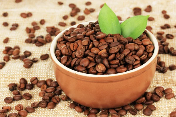 Grãos de café na tigela na mesa close-up — Fotografia de Stock