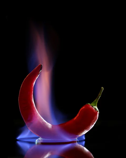 Rote scharfe Chilischote in Flammen auf schwarzem Hintergrund — Stockfoto