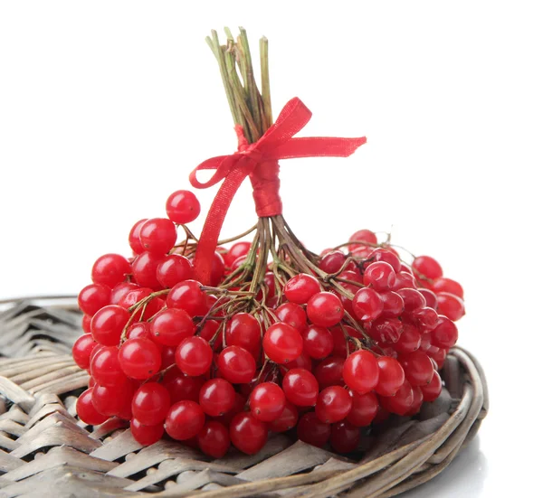 Red berries of viburnum isolated on white — Stock Photo, Image