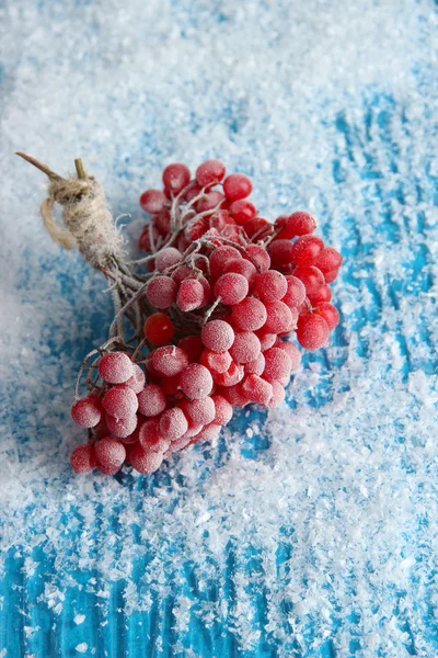 Bagas vermelhas de viburnum com cristais de gelo, sobre fundo azul — Fotografia de Stock
