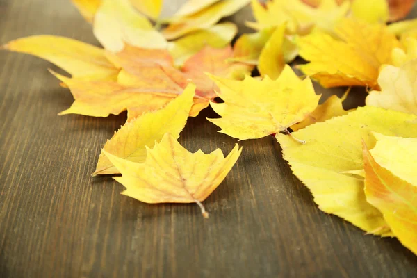 Bright autumn leafs on wooden table — Stock Photo, Image