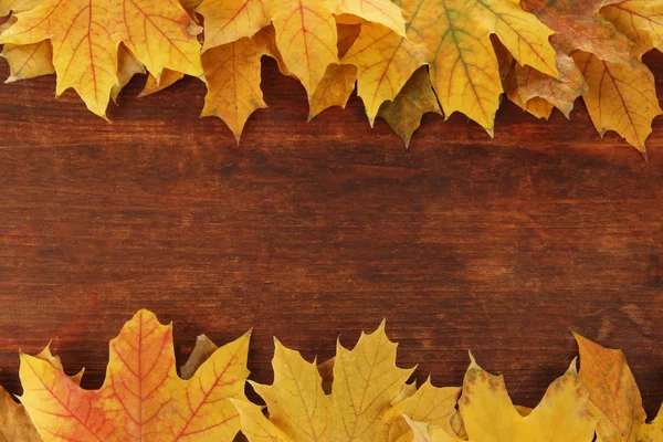 Sarı akçaağaç ahşap zemin üzerine bırakır.