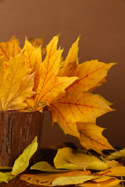 Belles feuilles d'automne dans un vase en bois sur table sur fond marron — Photo