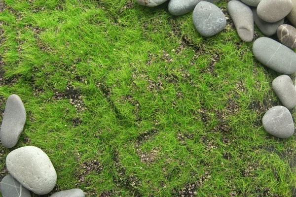 Grey stones, on grass background — Stock Photo, Image