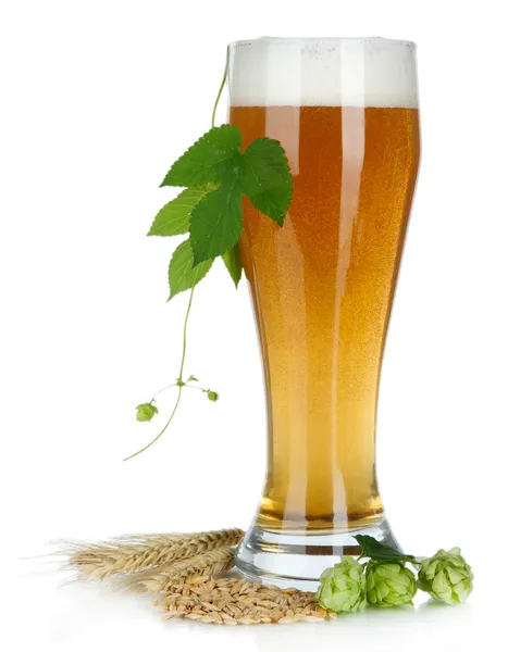 Glass of beer and hops, isolated on white — Stock Photo, Image