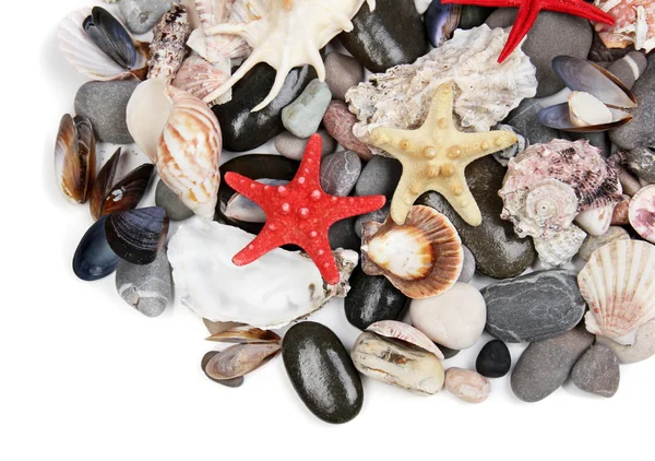 海の石や貝殻をクローズ アップ — ストック写真