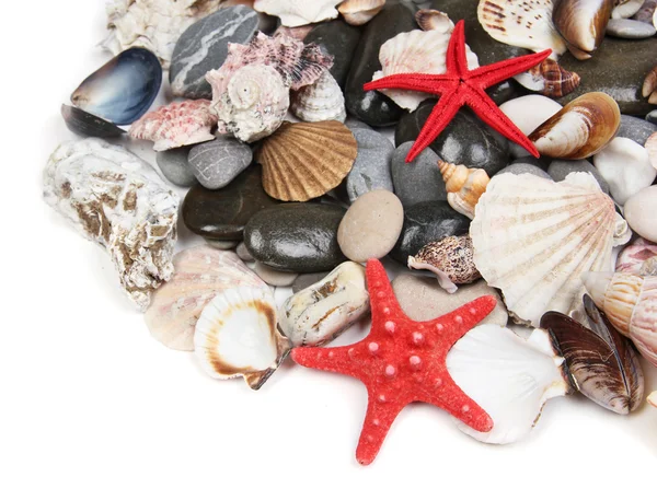 Close up of sea stones and shells — Stock Photo, Image