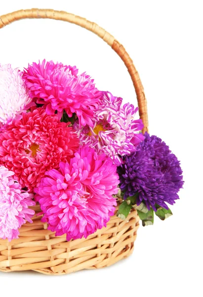 Bright aster flowers in basket, isolated on white — Stock Photo, Image