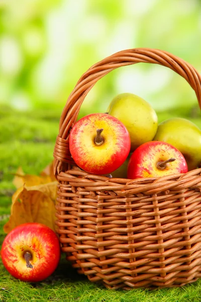 Pequenas maçãs em cesta de vime no fundo da natureza — Fotografia de Stock