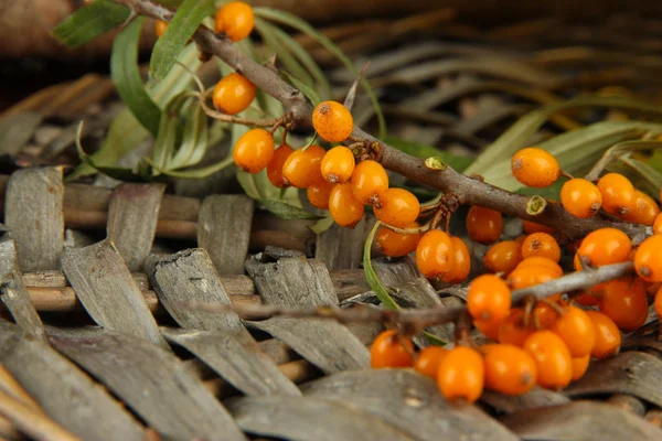 Branch of sea buckthorn with honey on wicker tray — Stock Photo, Image