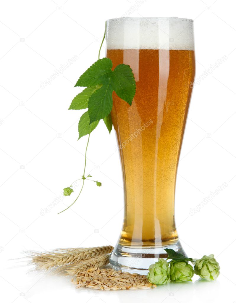 Glass of beer and hops, isolated on white