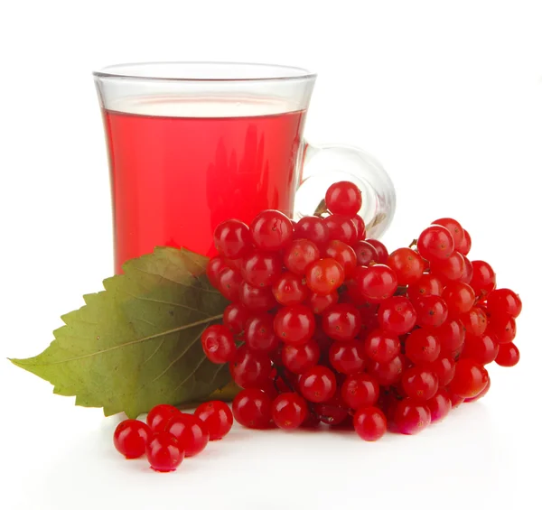 Rote Beeren von Viburnum und Tasse Tee isoliert auf weiß — Stockfoto