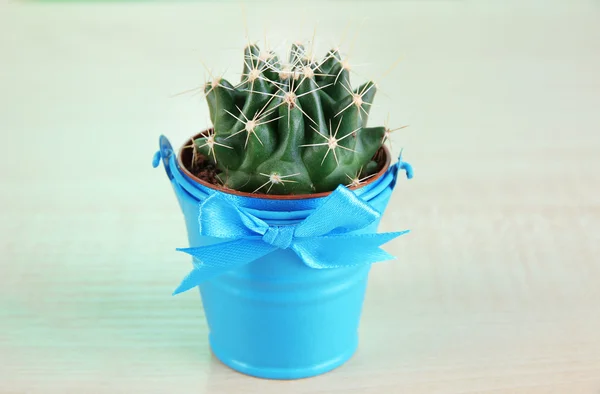 Beautiful cactus in bright pail on wooden table — Stock Photo, Image