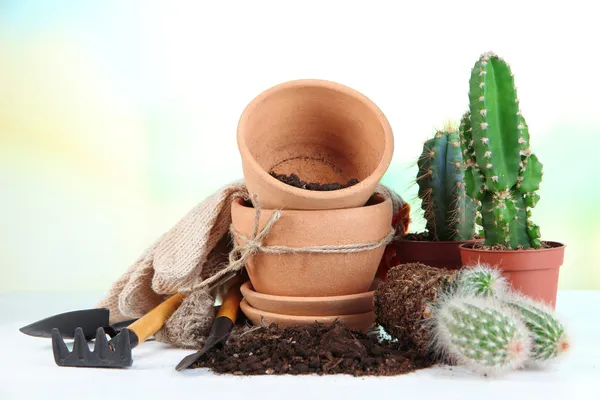 Hermosos cactus, macetas vacías y tierra, de cerca — Foto de Stock