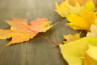 ahşap masa parlak sonbahar yaprakları