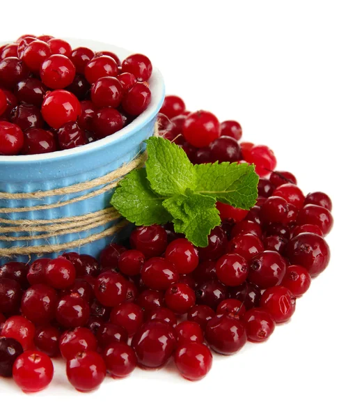 Olgun kırmızı cranberries Whit üzerinde izole kase, — Stok fotoğraf