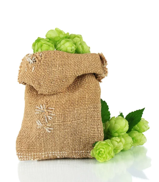 Fresh green hops in burlap bag, isolated on white — Stock Photo, Image