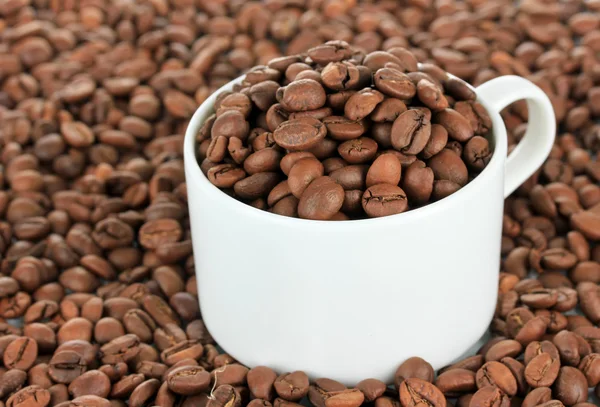 Kaffeebohnen in Tasse Nahaufnahme — Stockfoto
