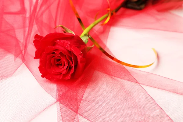 Nádherná růže na pozadí barevných tkanin — Stock fotografie