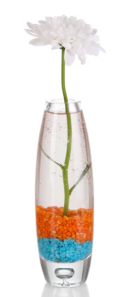 Decorative vase with flower and sea salt isolated on white — Stock Photo, Image