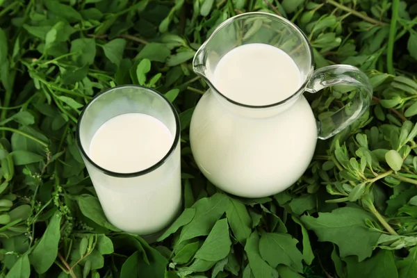 Pitcher and glass of milk on grass — Stock Photo, Image