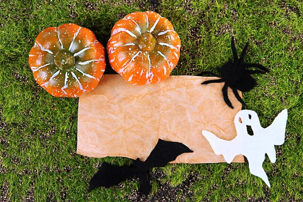 Old paper with Halloween decorations on green moss background — Stock Photo, Image