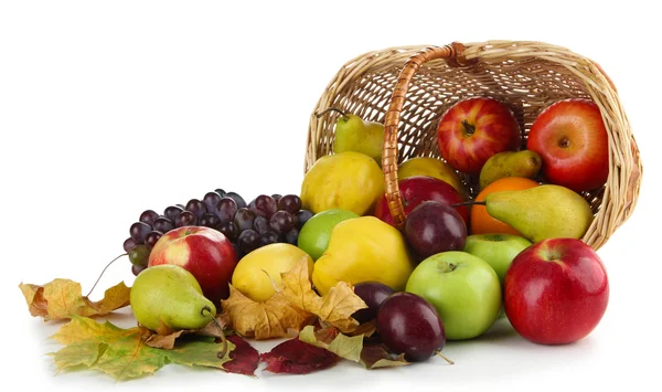 Different fruits with basket and yellow leaves isolated on white — Stock Photo, Image