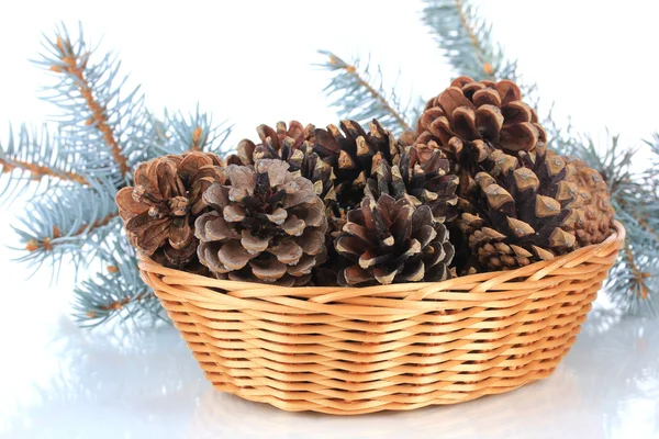 Bonitos cones de pinho em cesta de vime isolado em branco — Fotografia de Stock