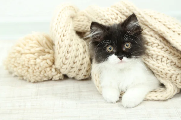 Weinig leuk katje met handdoek op verdieping — Stockfoto