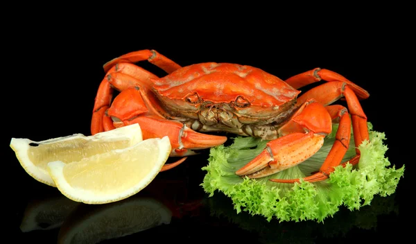 Boiled crabs isolated on black — Stock Photo, Image