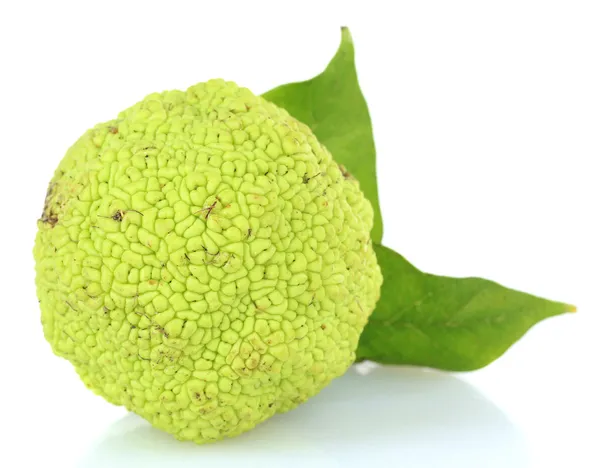 桑橙果 （maclura pomifera），白色衬底上分离 — 图库照片