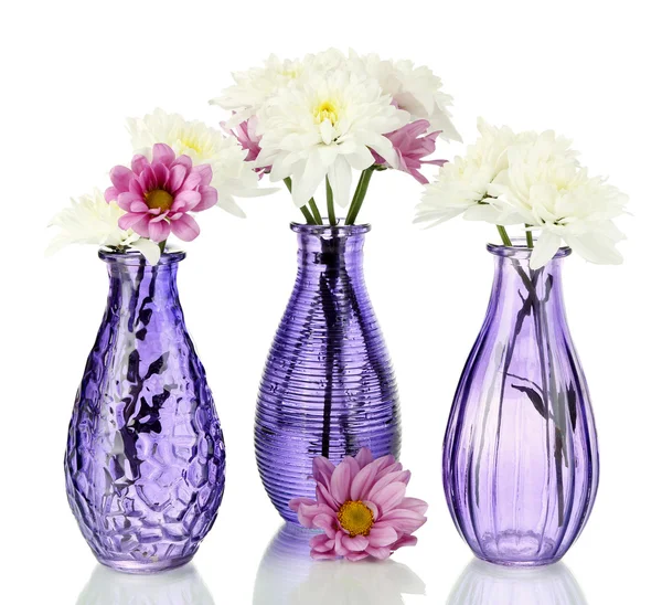 Hermosas flores en jarrones aislados en blanco — Foto de Stock