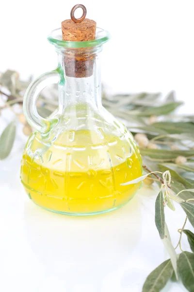 Olive oil and branch isolated on white — Stock Photo, Image