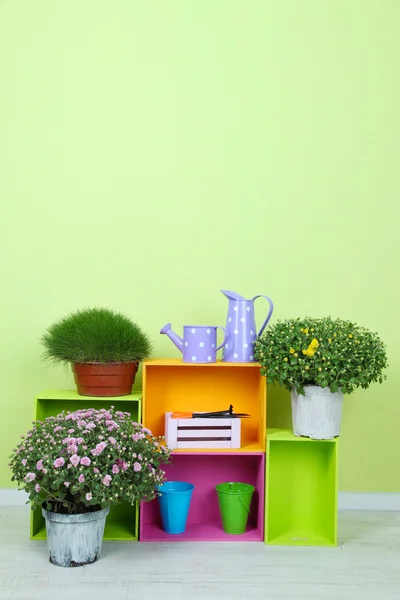Цветы в горшках с цветными коробками на фоне стен — стоковое фото